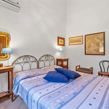 Viola Torre delle Stelle