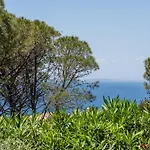 Viola Vila Torre delle Stelle