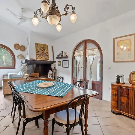 Viola * 토레 델레 스텔레