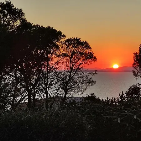 Viola * Torre delle Stelle