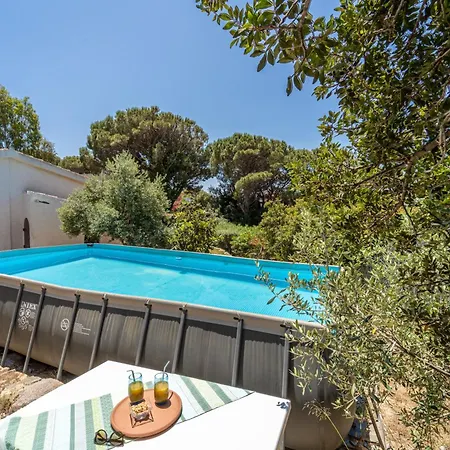 Villa Viola *